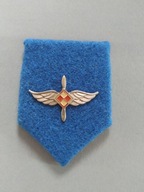 Odznaka Patka Naszywka