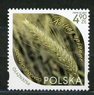 Fi 5458** Rośliny uprawne pszenżyto - 2025