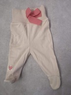 Półśpiochy Pinokio 56