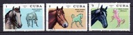Kuba . Znaczki pocztowe ( Fauna - konie ) 1972 r.