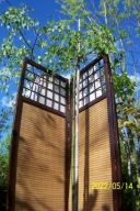 Złotokap kulisty pienny szczepiony 180 cm inny