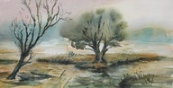 Stare wierzby pejzaż Akwarela Sabina Salamon 19x37
