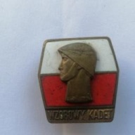 Odznaka to co na foto - brązowa