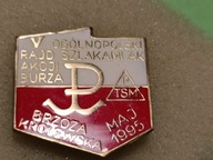 Stara Odznaka Emalia- V OGÓLNOPOL. RAJD- AK- AKCJI BURZA- BRZOZA KRÓL- 1995