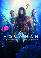 Aquaman i Zaginione Królestwo płyta DVD