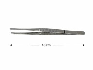 Pęseta terrarystyczna 18 cm prosta do hodowli mrówek