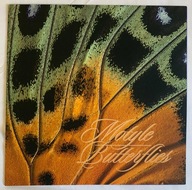 2020 Motyle Fi 5089-92 ** folder