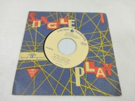 BUDKA SUFLERA - Sen O Dolinie / Jest Taki Samotny Dom SP [EX]