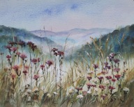 pejzaż łąka Akwarela Sabina Salamon 30x24