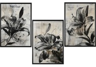 Plakat Zestaw 50x70 3szt. plakaty, postery, CZARNE LILIE