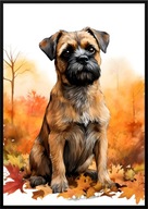 A2 59,4x42 PLAKAT OBRAZ PIES BORDER TERRIER TERIER JESIEŃ AKWARELA