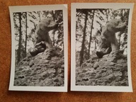 PRL 2 x kobieta pod kamiennym niedźwiedziem (839c)