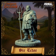 Sir Ector - CoE - figurka RPG DnD D&D - druk 3D 14K