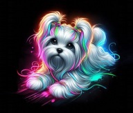 PANEL z nadrukiem na torbę, tkanina wodoodporna 45/45cm Maltańczyk maltuś