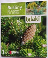 CZASOPISMO "Iglaki, Rośliny na balkon i do ogrodu" Ewa Chojnowska