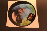 NAKLEJKA - PAMIĄTKA - ZOO WROCŁAW