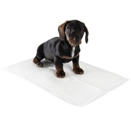 MATA TRENINGOWA CHŁONNY PODKŁAD DO NAUKI SIANIA DLA PSA SZCZENIAKA 10 SZT