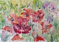 Akwarela Obraz Kwiaty Maki