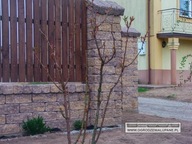 Cegła postarzana,ogrodzenia łupane,antyk,ozdobna Combet 20x10x11 Multi 4