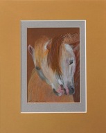 Koń portret konie akwarela na papierze