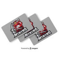 Portfel sprzętowy kryptowalutowy Tangem Red Panda 3 karty