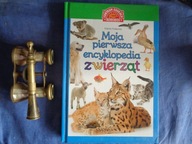 Moja pierwsza encyklopedia zwierząt Marta Kotecka
