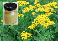 MAŚĆ Z WROTYCZEM Z WOSKIEM PSZCZELIM EGZEMA ŁUSZCZYCA TRĄDZIK CHOROBY SKÓRY