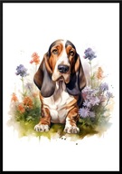 A2 PLAKAT PIES W KWIATACH RASA BASSET
