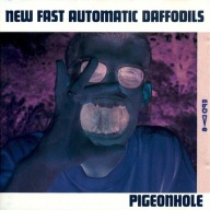 NEW FAST AUTOMATIC DAFFODILS - Pigeonhole