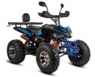 QUAD 250 XTR DISCOVER 125 RAPTOR 250 MANUAL GRATISY