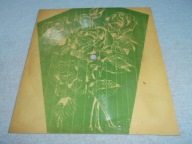 Krawczyk - Barbar tu Barbara tam, Georczak...