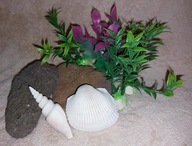 Lawa naturalna do akwarium