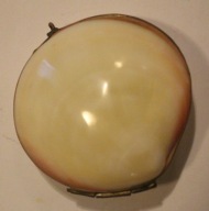 ŁADNA STARA MUSZELKA z MASY PERŁOWEJ - STARA CIEKAWOSTKA