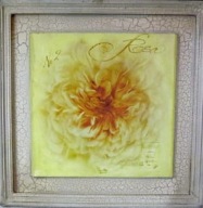 Obraz żółta róża 38x38 cm Prezent Dekoracja Domowa