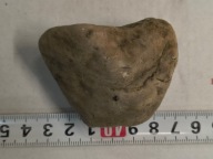 Skamieliny koralowce minerały