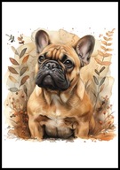 A2 OBRAZ PLAKAT PIES PLAKAT BULDOG FRANCUSKI
