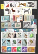 Polska rocznik 1963 **