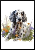 A2 PLAKAT PIES W KWIATACH RASA SETER ANGIELSKI