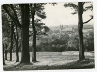 LWÓWEK ŚLĄSKI - WIDOK ZE SZKOLNEJ GÓRY