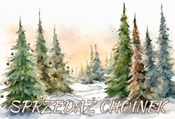 BANER PLANDEKA SPRZEDAŻ CHOINEK CHOINKA 100x50 c25i