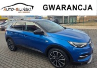 Opel Grandland X 1.6Benz Hybryda plug-in Kamera 360 LED Grz.Fotele Navi Fa