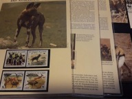 **WWF GUINEA - PIES, LIKAON - SERIA ZNACZKÓW, 4 KOPERTY, 4 KARTY MAX