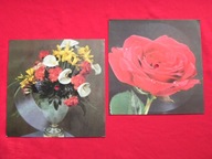 WOSPR GÓRZYŃSKI johann strauss POCZTÓWKA DŹWIĘKOWA