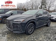 Lexus NX 250 Premium 2025 2.5 Benzyna 203KM