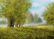 M.Szczepaniak Pejzaż `Wśród łąk` 60x40 cm obraz autorski