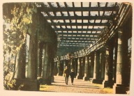 WROCŁAW. Pergola w Parku, CZYSTA, 1961 rok