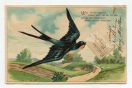 ŚWIĘTO WIOSNY - JASKÓŁKA Z LISTEM - WYTŁACZANA - 1907