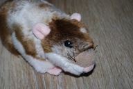 pluszak maskotka świnka morska Leosco for Uni-Toys