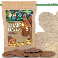 Yopno liście catappa 20szt S Migdalecznik ketapang Krewetki Pokarm Bojownik