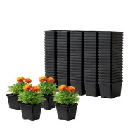 DONICZKA PLASTYKOWA PRODUKCYJNA KWADRATOWA DO ROZSADY SADZONKI 0,5 L 100SZT